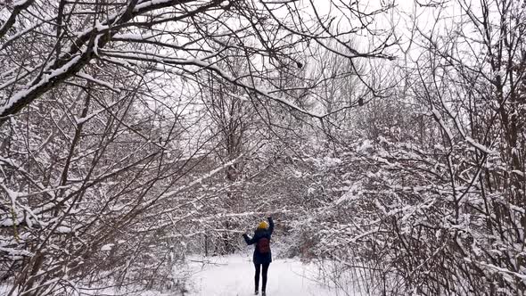 Woman walks in the winter snowy forest alt