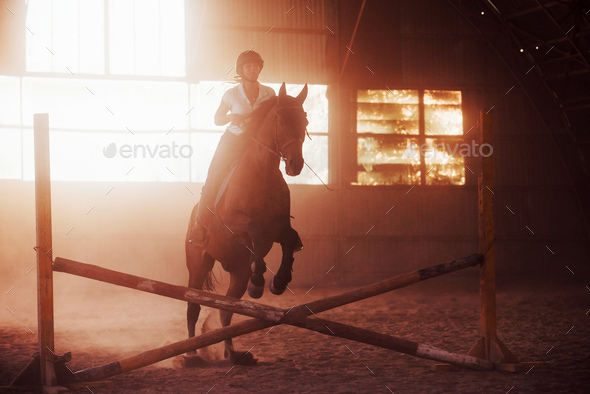 The girl jockey on the back of a stallion rides in a hangar on a farm