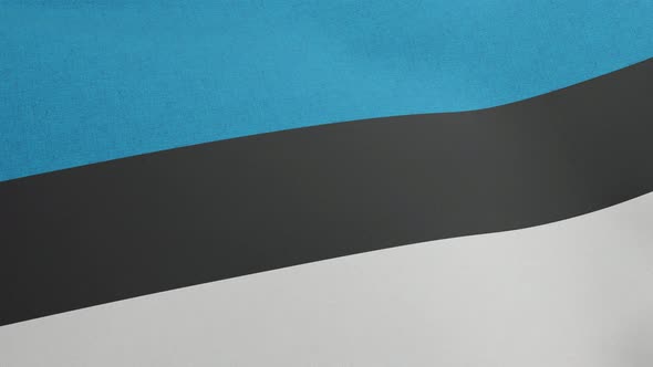 National Flag of Estonia Waving Original Size and Colors 3D Render Eesti Lipp is Estonian Flag alt
