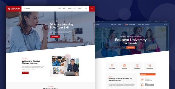 Educavo - Online Courses & Education WordPress Theme by rs-theme