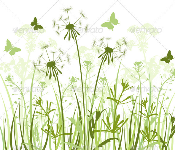 Floral Background with Dandelions - Flowers & Plants Nature