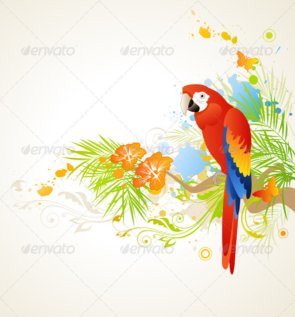 Summer Background with Parrot - Animals Characters