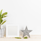 Home decor with picture frame, concrete star and plant - PhotoDune Item for Sale
