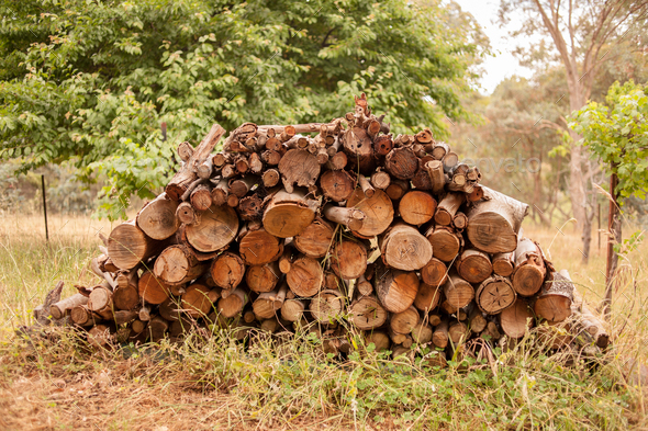 Firewood pile - Stock Photo - Images