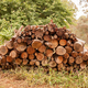 Firewood pile - PhotoDune Item for Sale