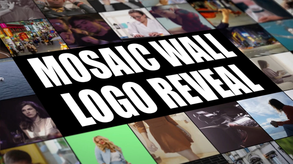 Mosaic Wall Logo Reveal