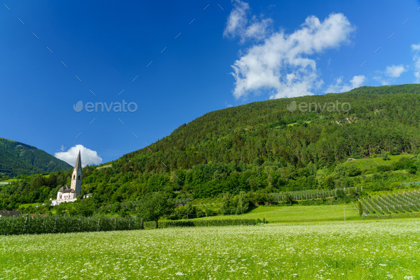 Mountain landscape in the Venosta valley at summer. Church