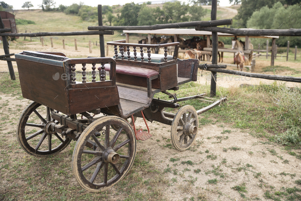 A Wooden Old Horse Carriage in an Old Cowboy Farm with a Beautiful Pony and Horses