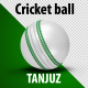 ODI/White Cricket Ball Rotations And Background - VideoHive Item for Sale