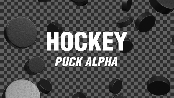 Hockey Puck Alpha