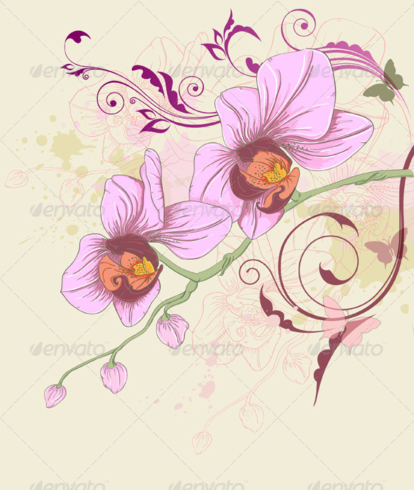 Floral Background with Orchid and Ornament - Flowers & Plants Nature