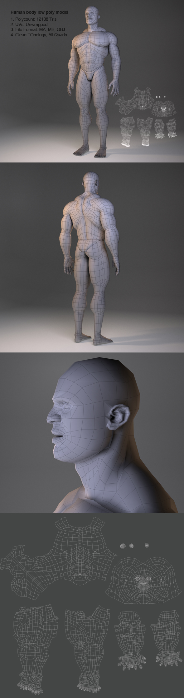 Low Poly Male - 3Docean 29994542