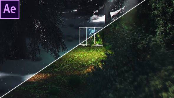 Magic Forest 6 - VideoHive 29995797
