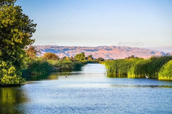 Ponds at sunset in Coyote Hills Regional Park - Stock Photo - Images