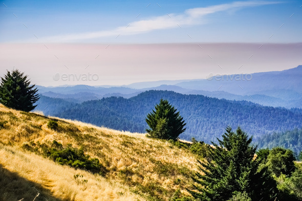 Landscape in Santa Cruz mountains Stock Photo by SundryPhotography