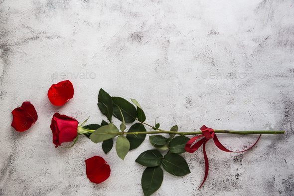 Red roses on grey stone background. - Stock Photo - Images