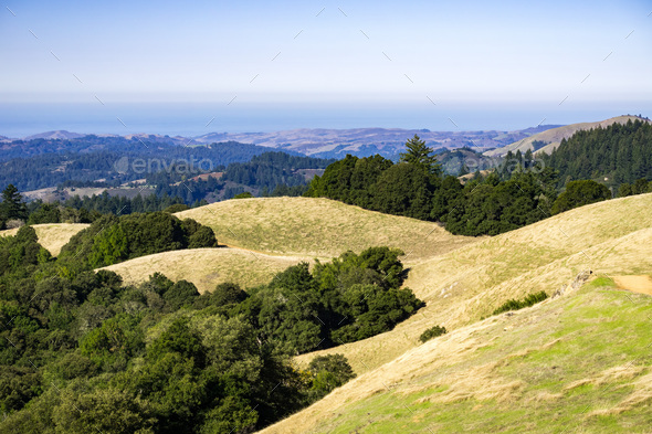 View towards the Pacific Ocean from Santa Cruz mountains San