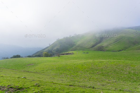 Foggy day on the hills of Sierra Vista Open Space Preserve, south San Francisco bay, California