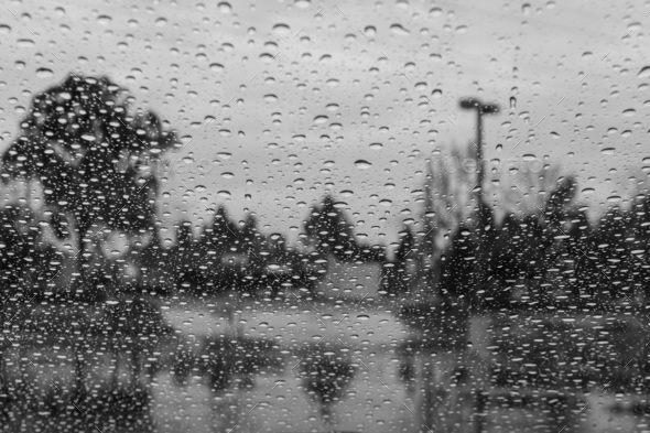 Drops of rain on the window; blurred trees in the background - Stock Photo - Images