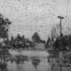 Drops of rain on the window; blurred trees in the background - PhotoDune Item for Sale