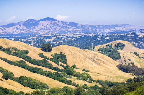 Golden hills in Contra Costa county, mount Diablo in the background ...