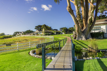 Wooden boardwalk over a green meadow