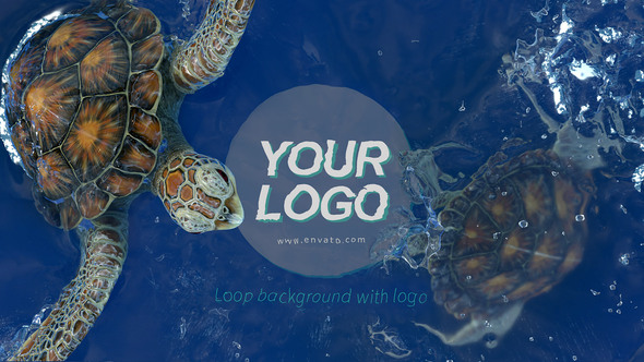 Sea Turtle Opener - VideoHive 29993149