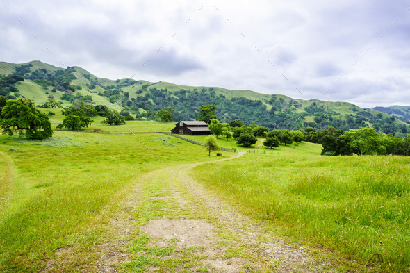 Trail in Sunol Regional Wilderness, east San Francisco bay area, California - Stock Photo - Images