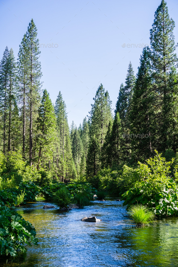 McCloud River flowing through Shasta National Forest, Siskiyou County, Northern California Stock