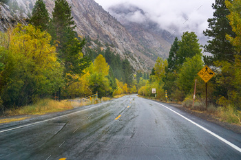 Wet road in the Sierra Mountains