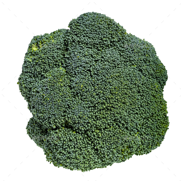 top of of fresh green Broccoli isolated Stock Photo by vvoennyy