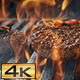 Grilled Barbecue Burger Patties - VideoHive Item for Sale