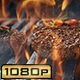 Grilled Barbecue Burger Patties - VideoHive Item for Sale