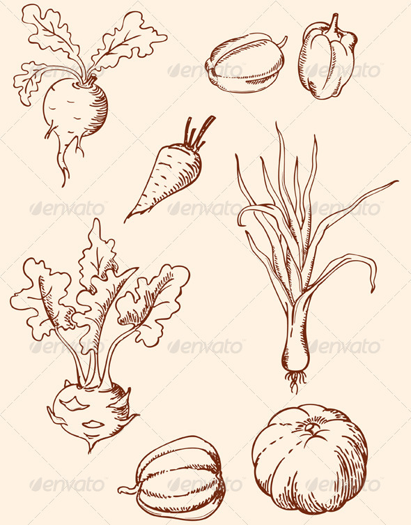 Hand Drawn Vintage Vegetables - Food Objects