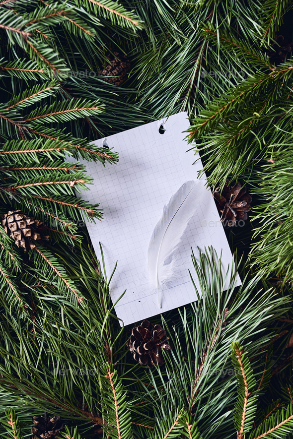 Christmas background of green spruce and pine branches Stock Photo by  Geanna8