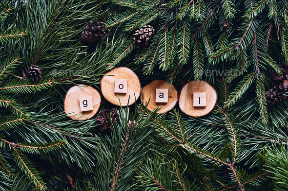 The word Goal is laid out in wooden letters on a green Christmas background