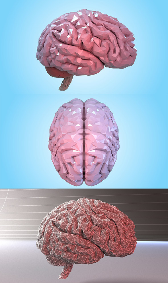 Brain Low-poly - 3Docean 30067329