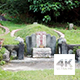 Singapore Bukit Brown Chinese Cemetery - VideoHive Item for Sale