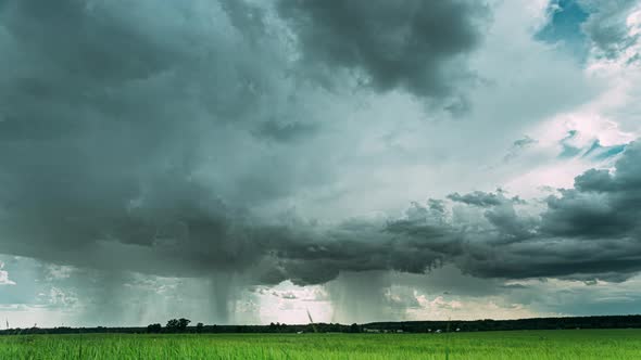 Rain Rainy Clouds Above Countryside Rural Field Landscape With Young Green Wheat Sprouts In Spring alt