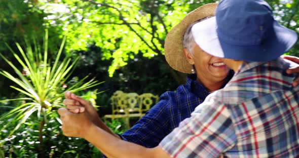 Senior couple dancing in the garden alt