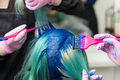 Hairdressers Applying Blue Paint to Emerald Hair Color During Process of Dyeing Hair in Unique Color - PhotoDune Item for Sale