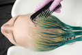 Hairdresser Holding Wet Hair in Hand and Combing Long Green Hair While Shampooing in Shower - PhotoDune Item for Sale