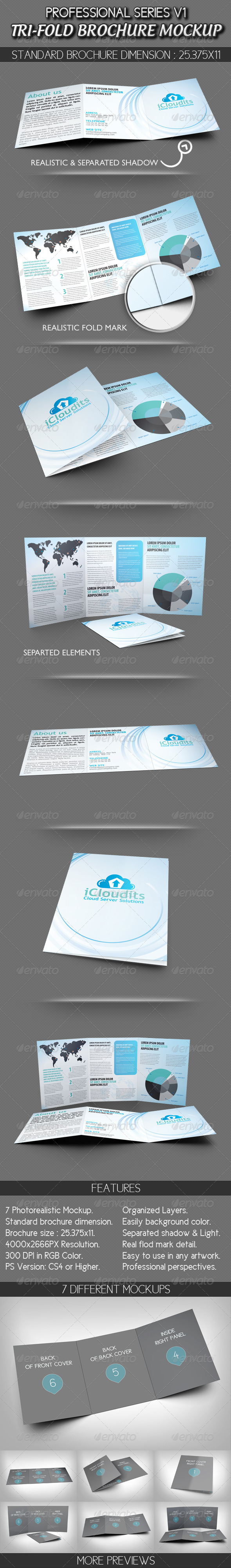 Professional Tri-fold Brochure Mockup V1 - Brochures Print