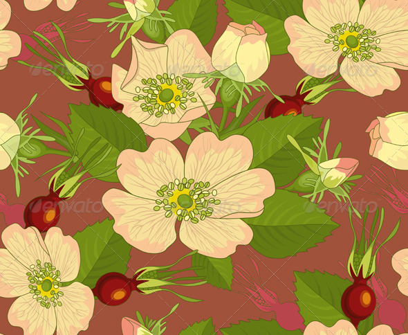 Seamless Background Wild Rose Rose-hip - Backgrounds Decorative