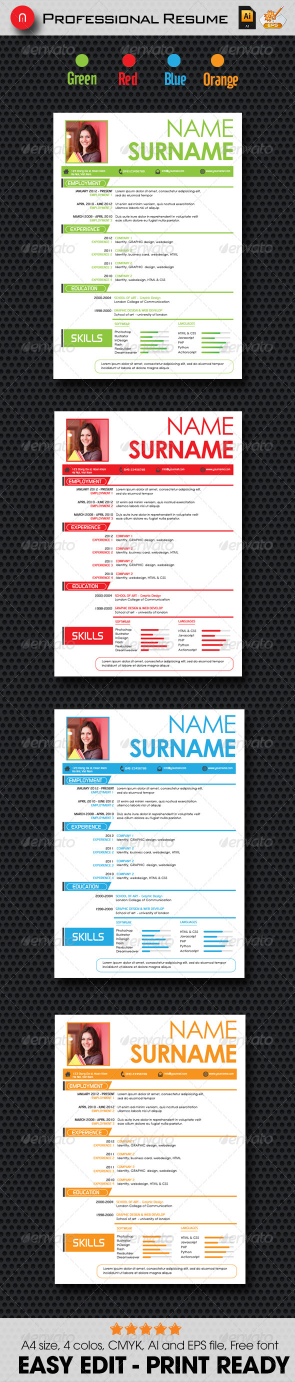 Professinal Resume - Stationery Print Templates