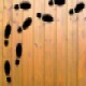 Footsteps On Wooden Floor Footsteps On Wooden Floor