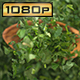 Chopped Parsley on Olive Spoon - VideoHive Item for Sale