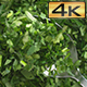 Silver Spoon with Parsley - VideoHive Item for Sale