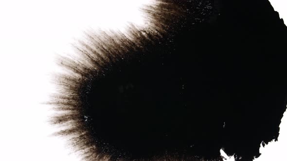 Black Ink Drops On White Background alt