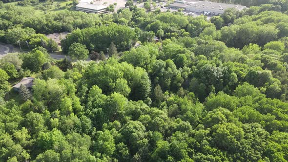 Flyover at edge of Excelsior, Minnesota, community with woodlands, homes, and businesses.